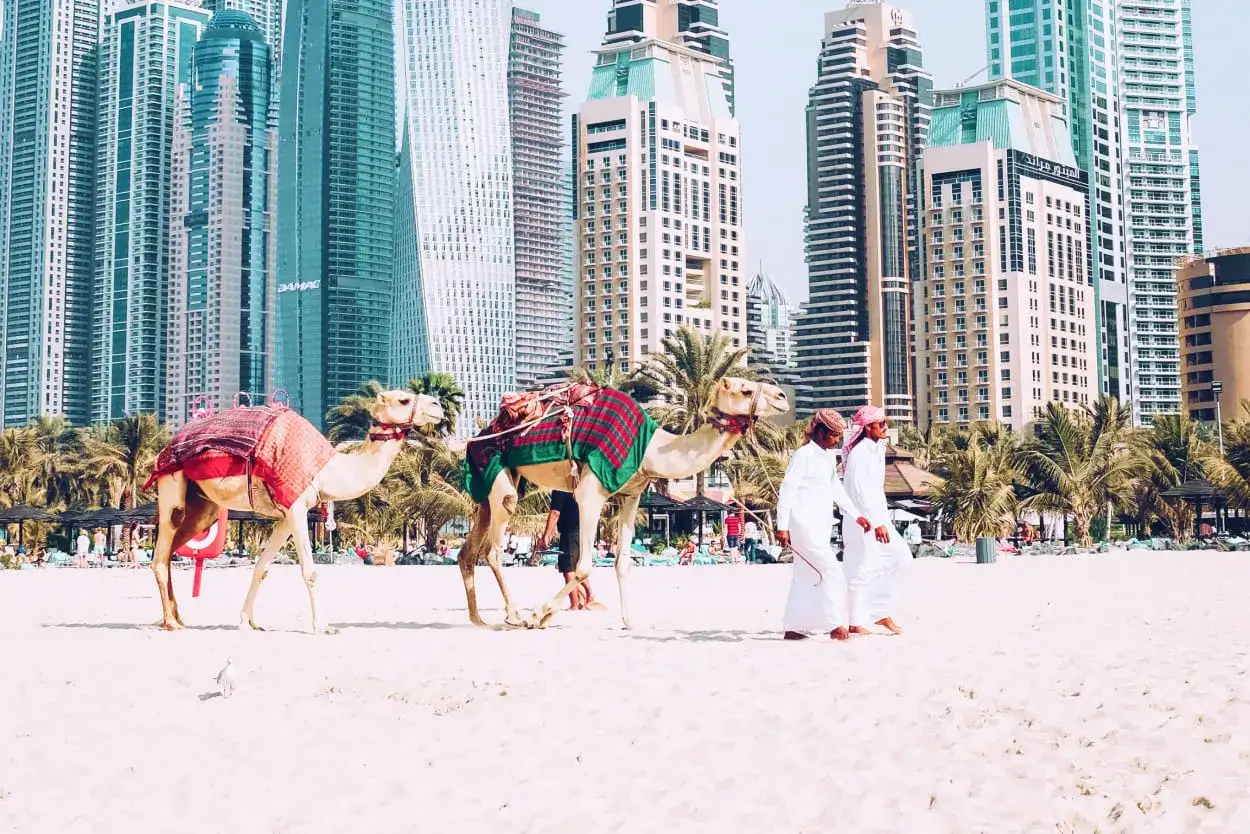Dwa wielbłądy na plaży w Dubaju, z dwoma mężczyznami w tradycyjnych strojach. Zastanawiasz się, ile trwa lot do Dubaju?